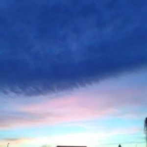 Meet your Posher, Misty